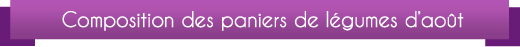 BandeauPanier08
