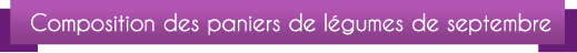 BandeauPanier09