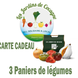 BON CADEAU 3 Paniers de légumes