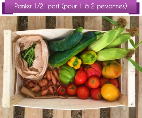 DétailCompo1-2p