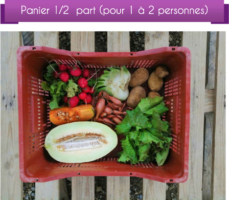 DétailCompo1-2pOct