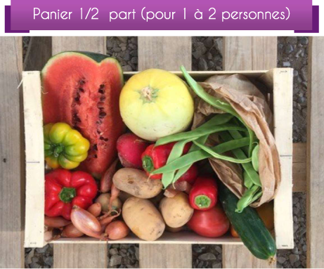 DétailCompo1-2pSept
