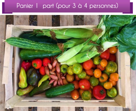 DétailCompo1p