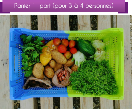 DétailCompo1pOct