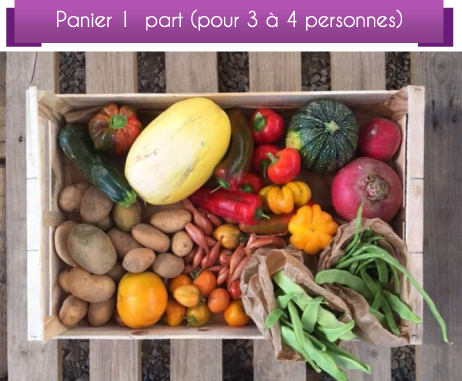 DétailCompo1pSept